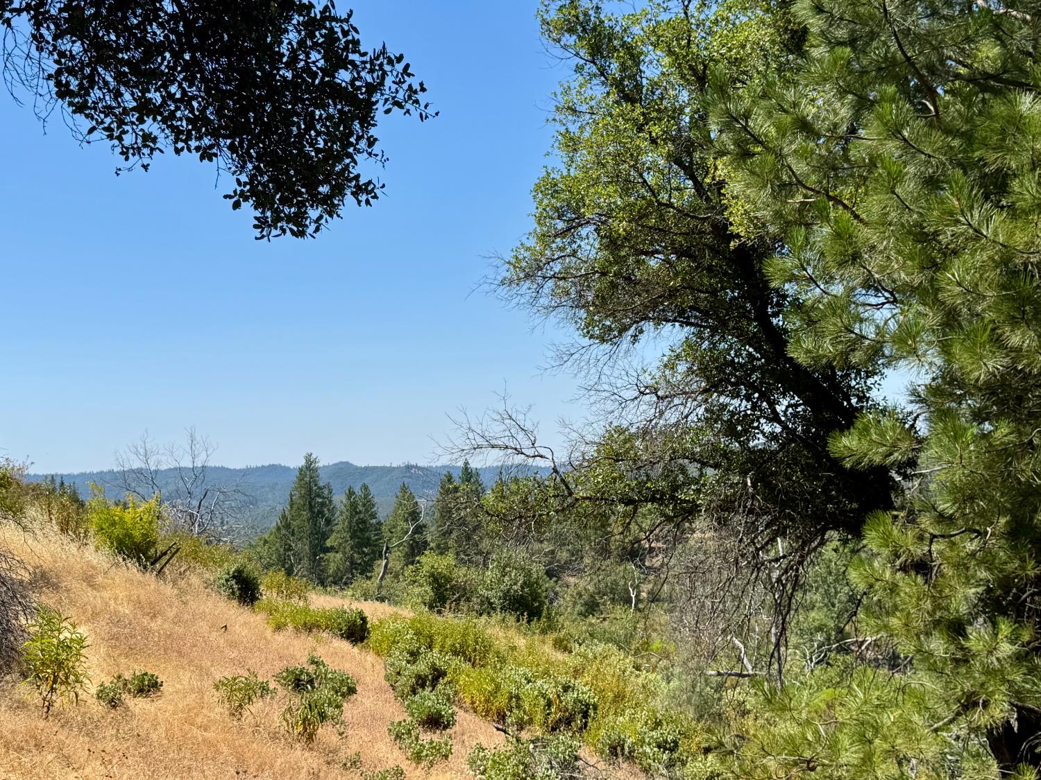 Rodesino Road, Mountain Ranch, California image 16