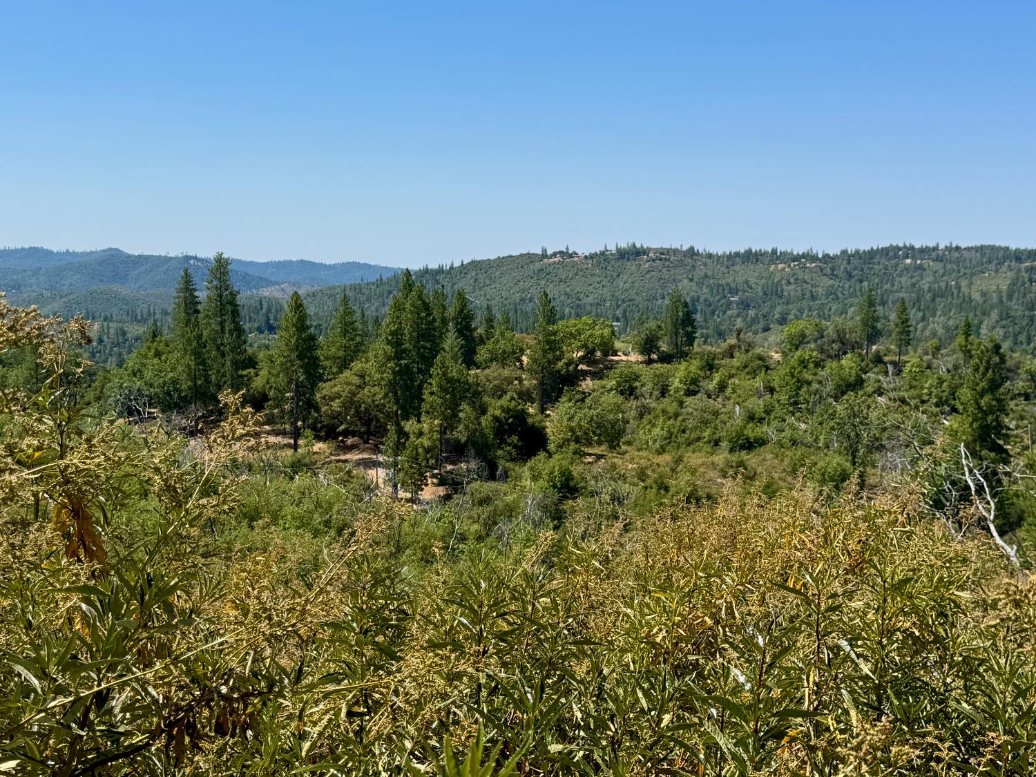 Rodesino Road, Mountain Ranch, California image 5