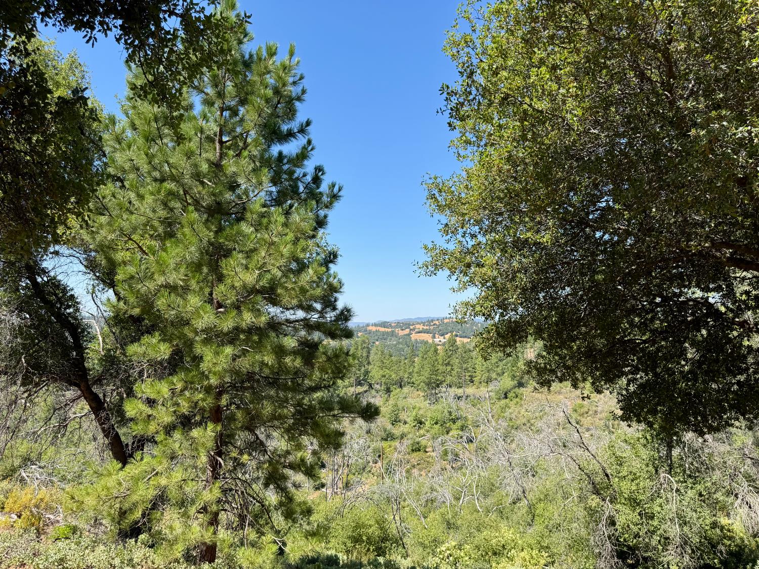 Rodesino Road, Mountain Ranch, California image 18
