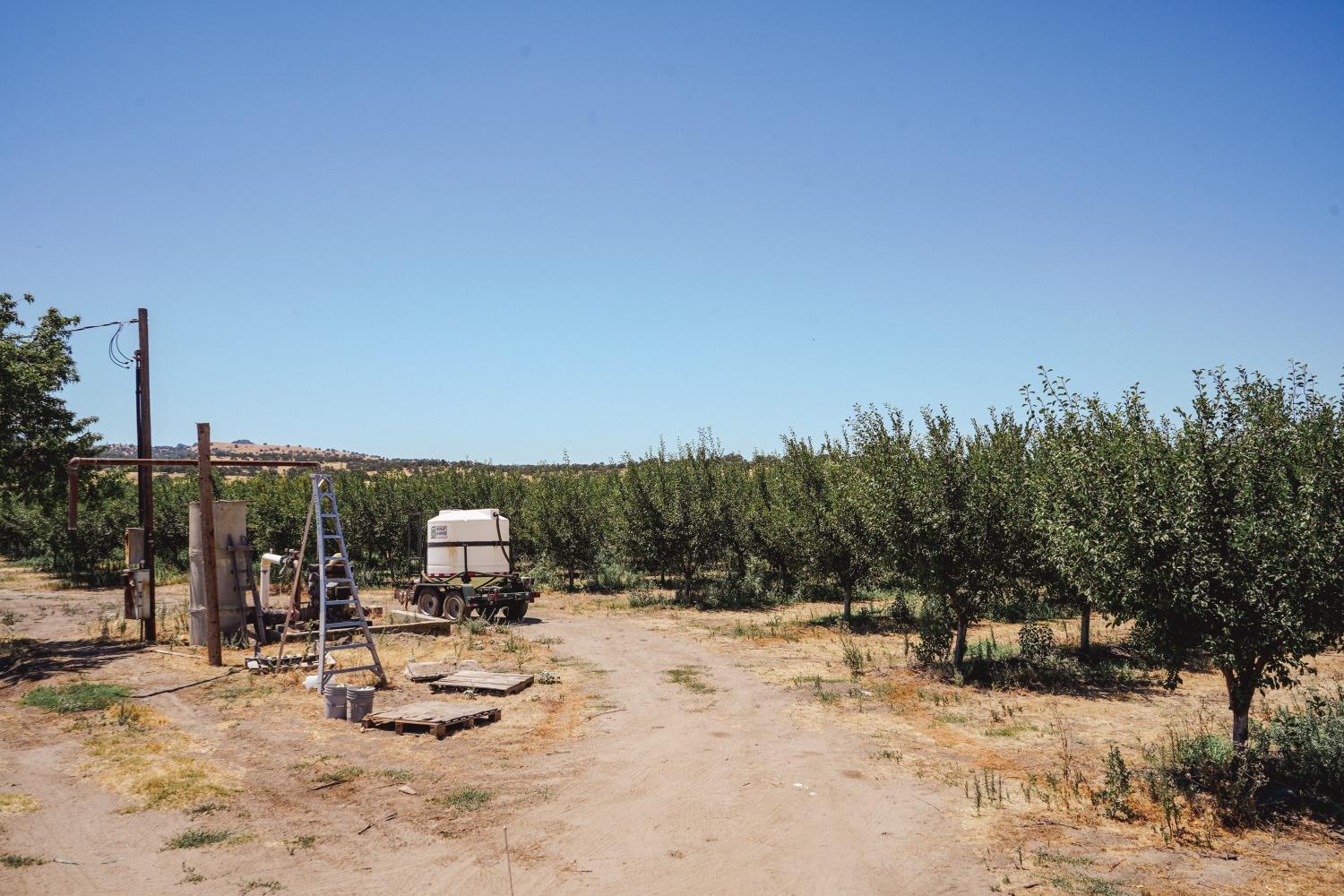 Ingram Lane, Live Oak, California image 1
