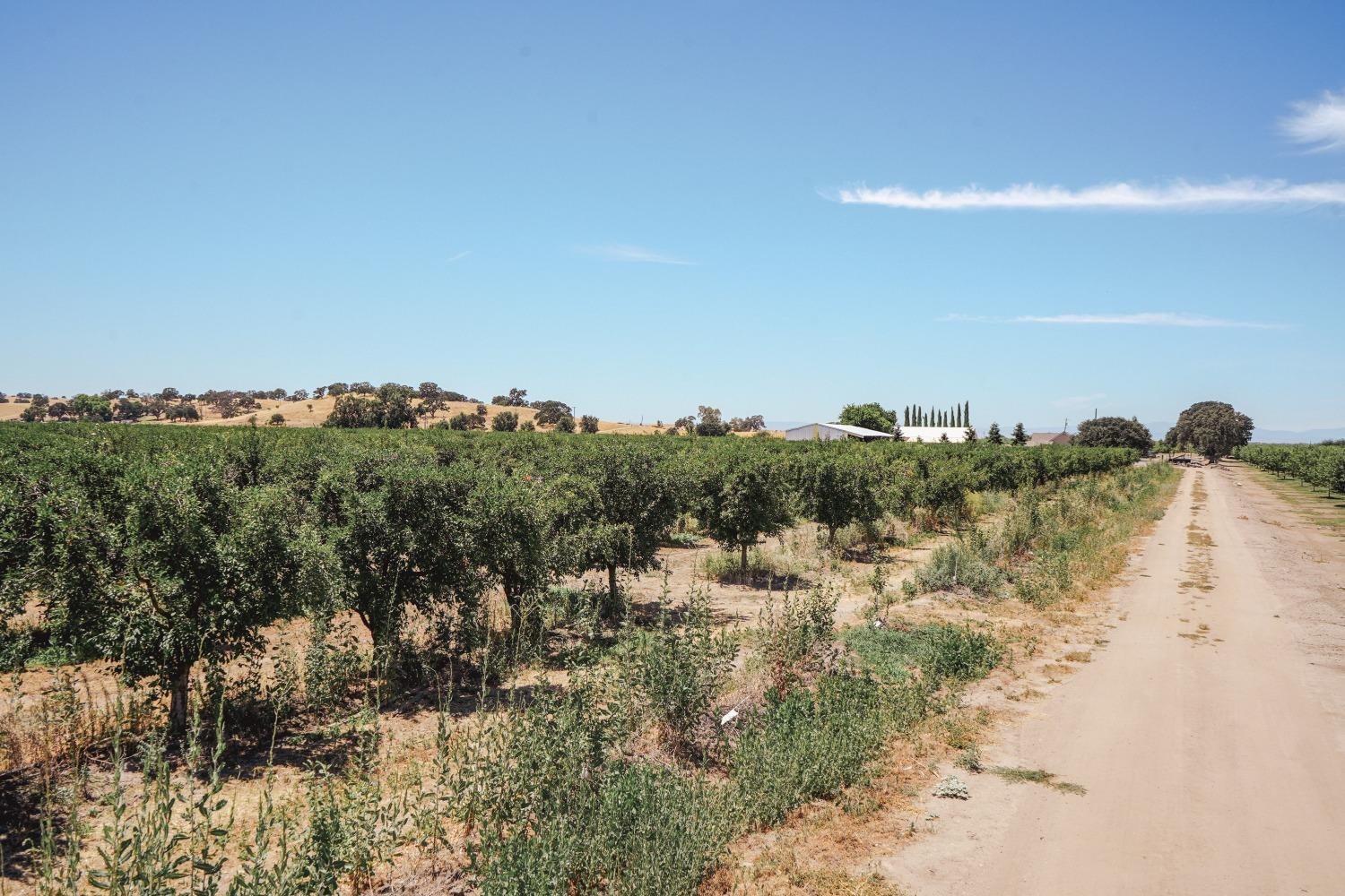 Ingram Lane, Live Oak, California image 14