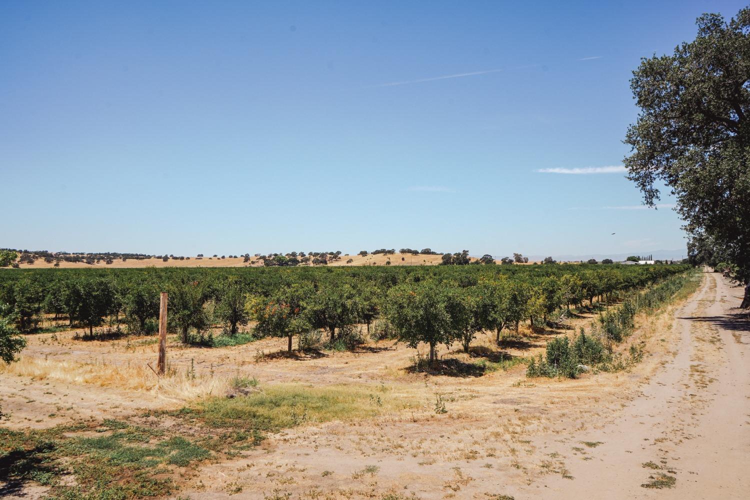 Ingram Lane, Live Oak, California image 9