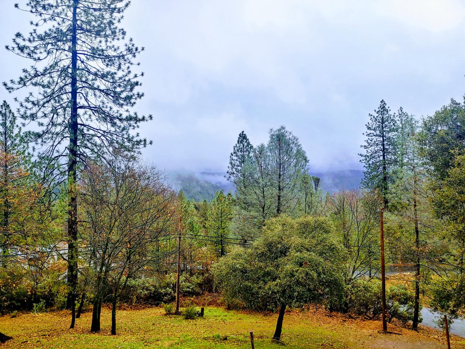 Detail Gallery Image 2 of 58 For 1333 Highway 174, Colfax,  CA 95713 - – Beds | – Baths