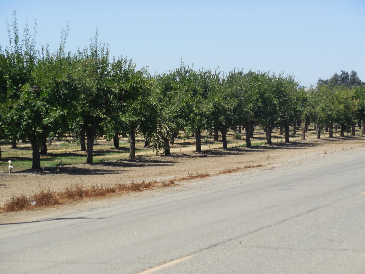 Encinal Road, Live Oak, California image 7