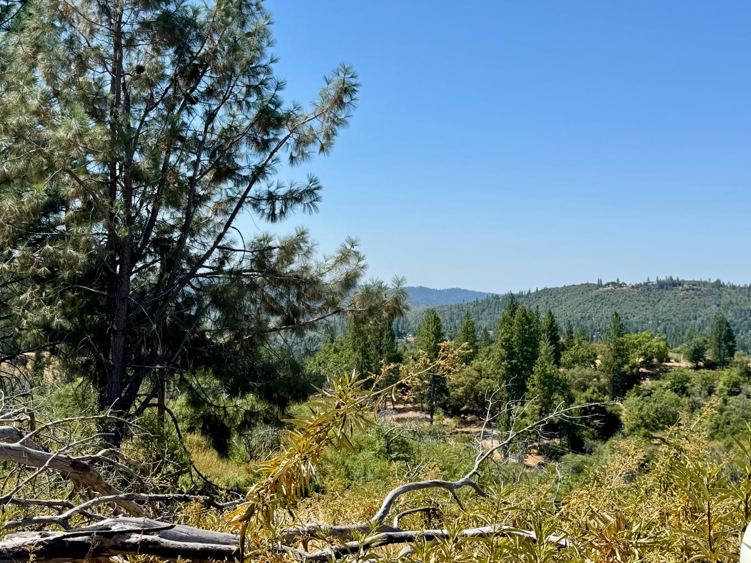 Rodesino Road, Mountain Ranch, California image 1