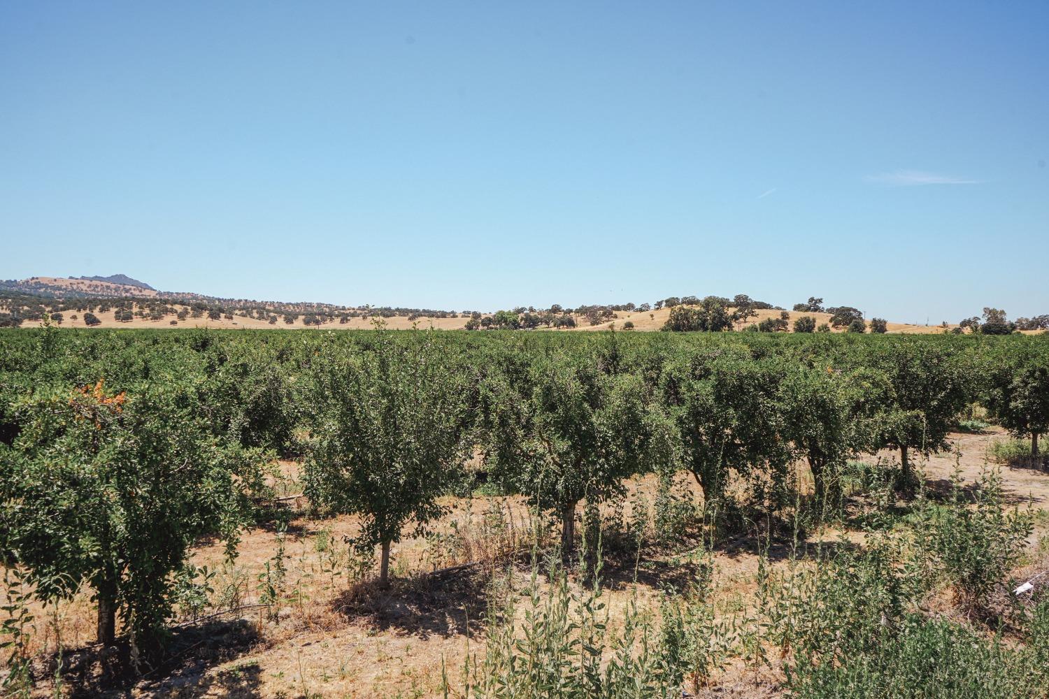 Ingram Lane, Live Oak, California image 13