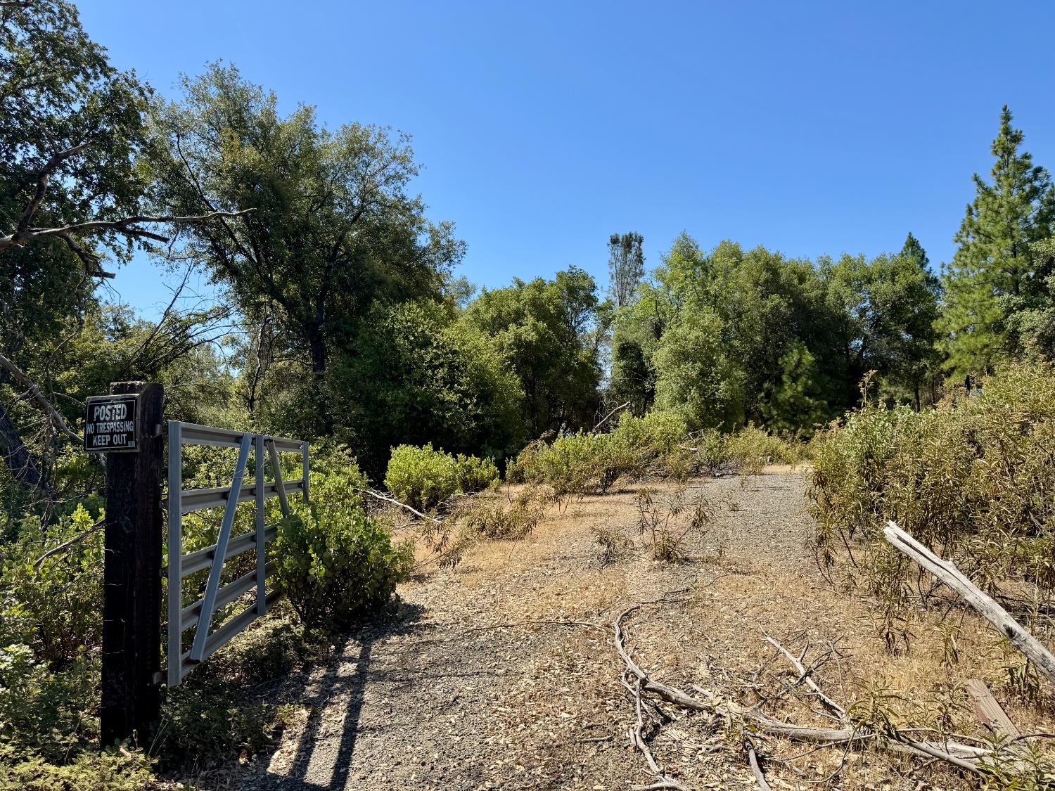 Rodesino Road, Mountain Ranch, California image 3