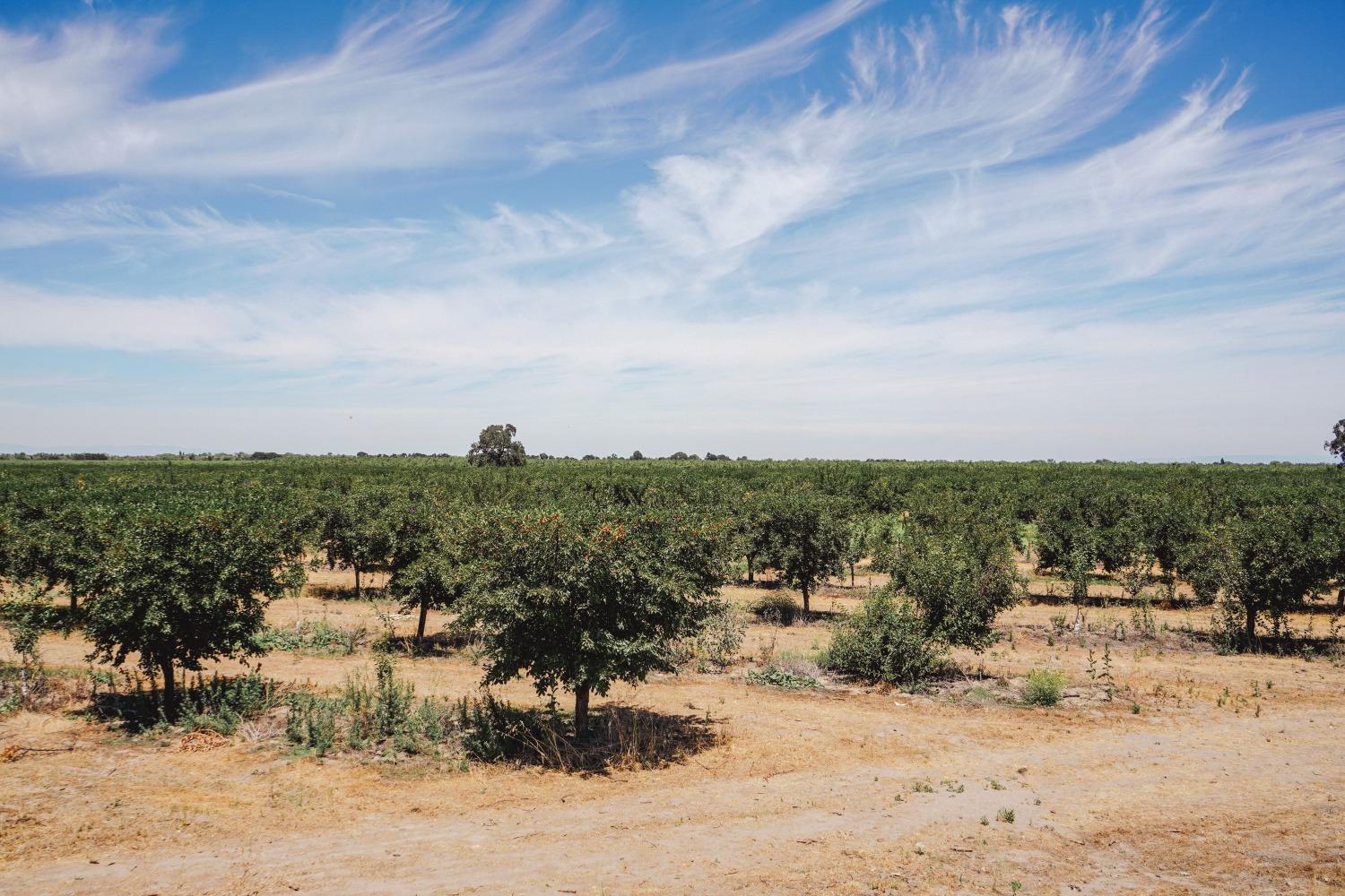 Ingram Lane, Live Oak, California image 5