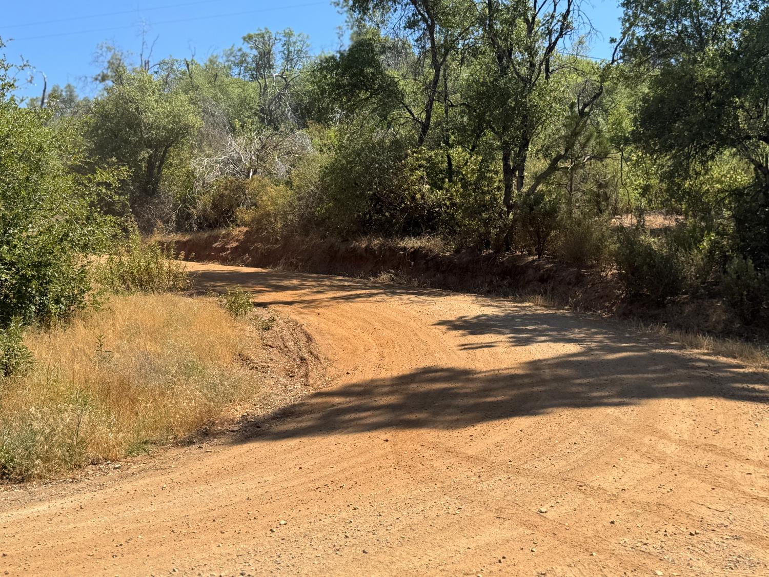 Rodesino Road, Mountain Ranch, California image 4
