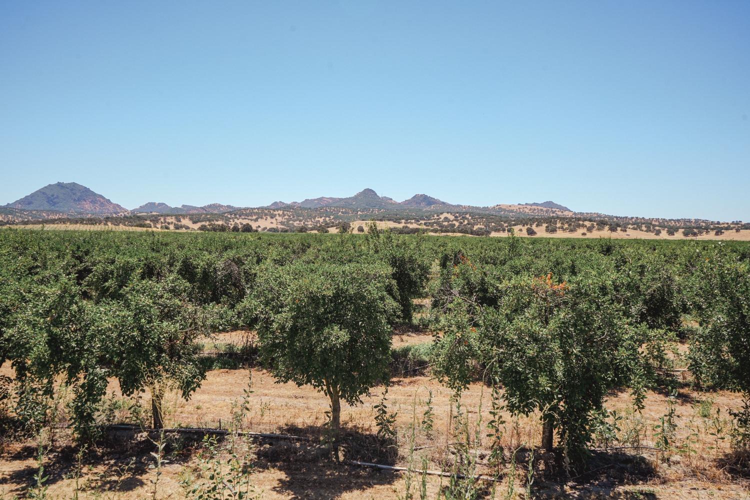 Ingram Lane, Live Oak, California image 12