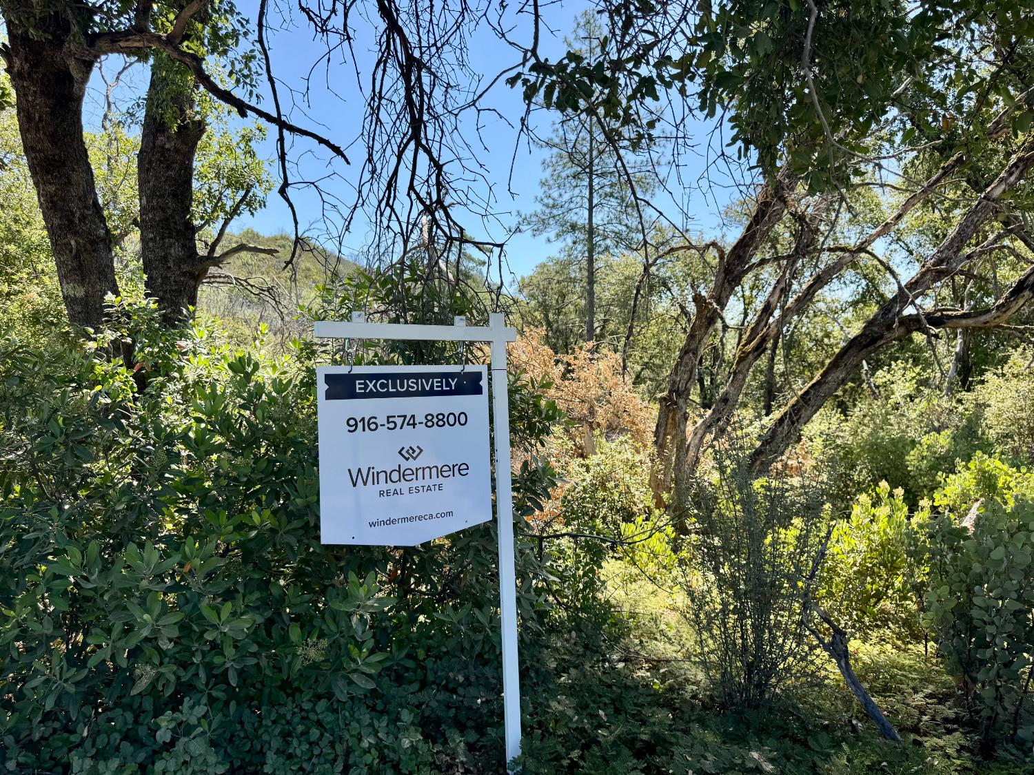 Rodesino Road, Mountain Ranch, California image 2