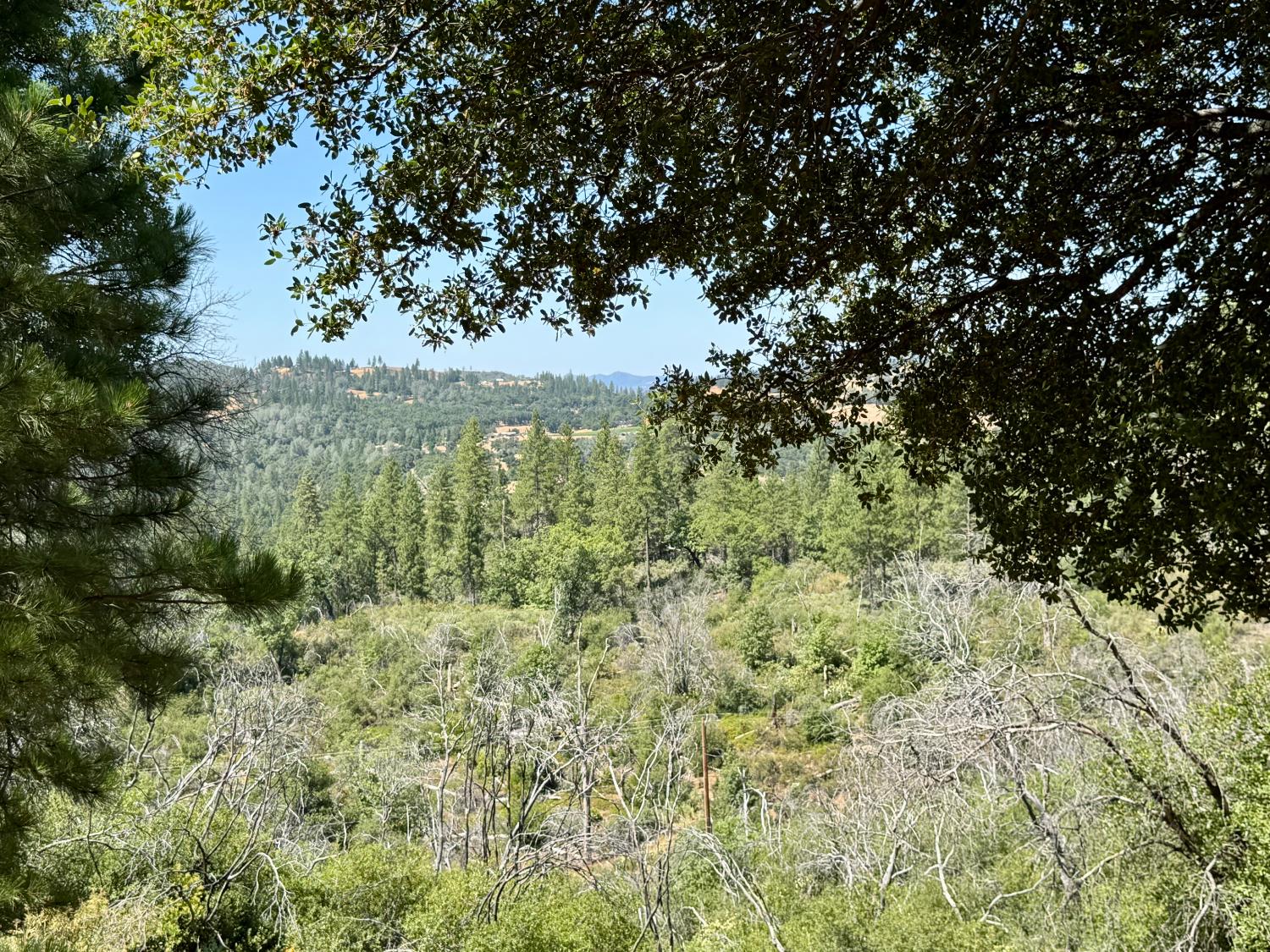 Rodesino Road, Mountain Ranch, California image 15