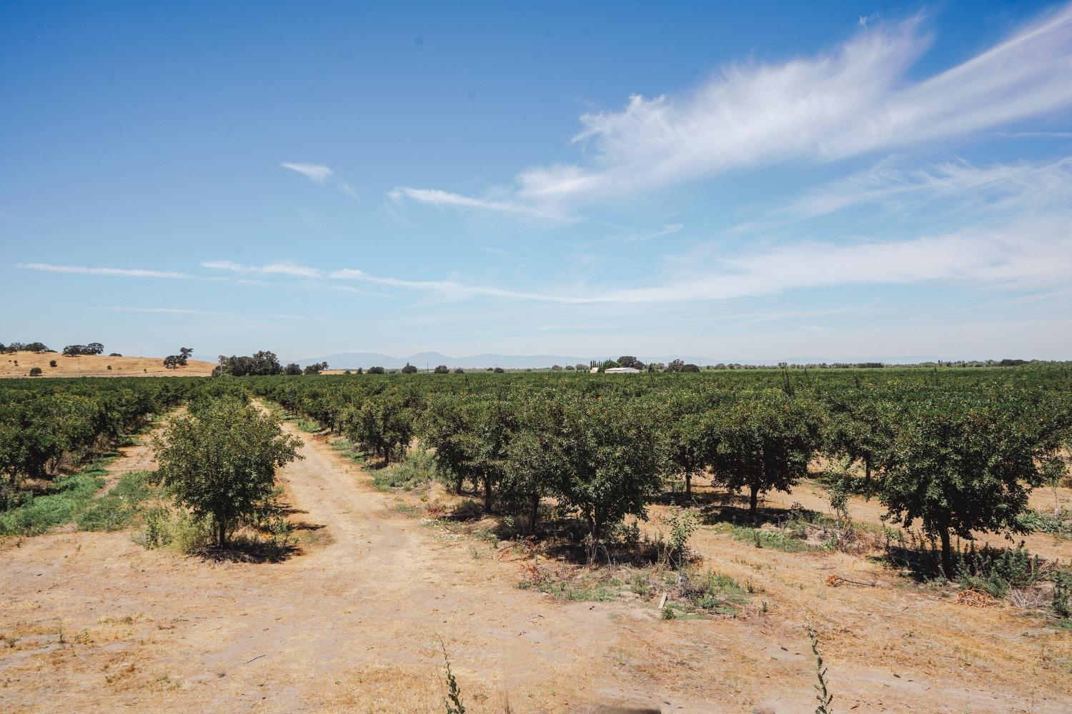 Ingram Lane, Live Oak, California image 16