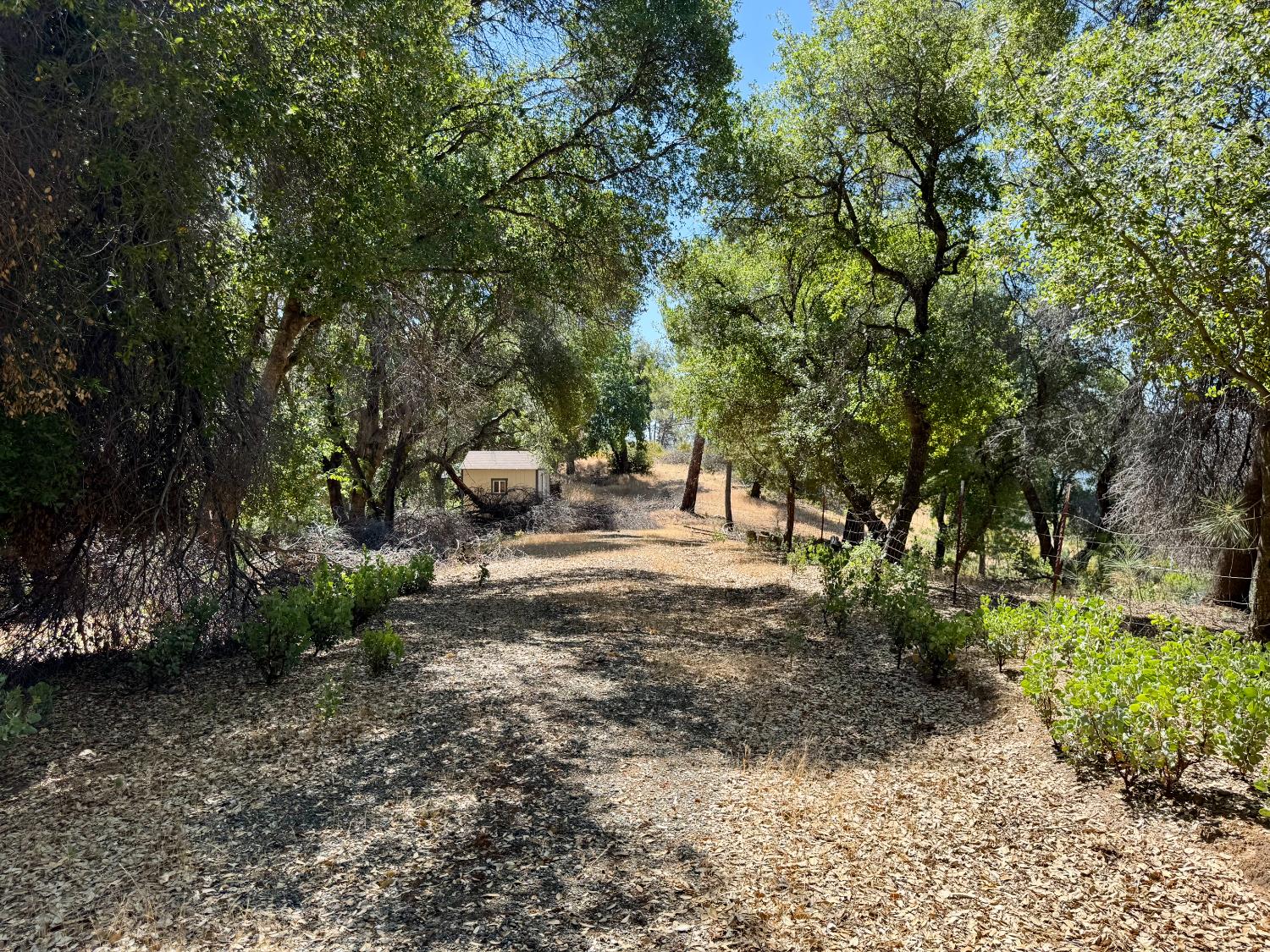 Rodesino Road, Mountain Ranch, California image 19