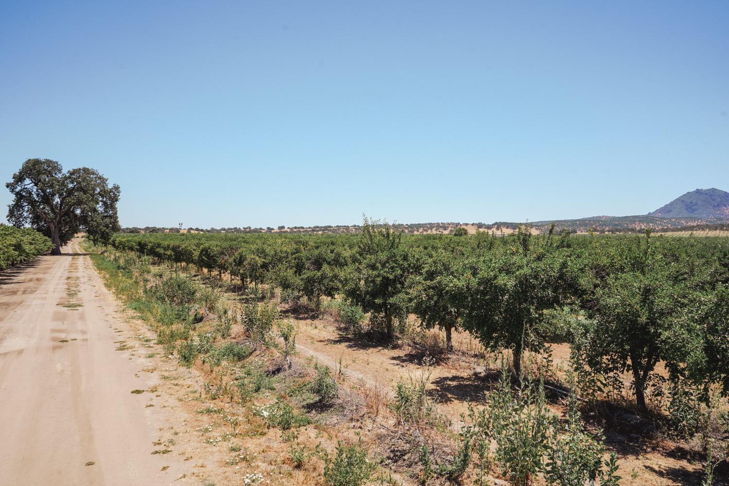 Ingram Lane, Live Oak, California image 10