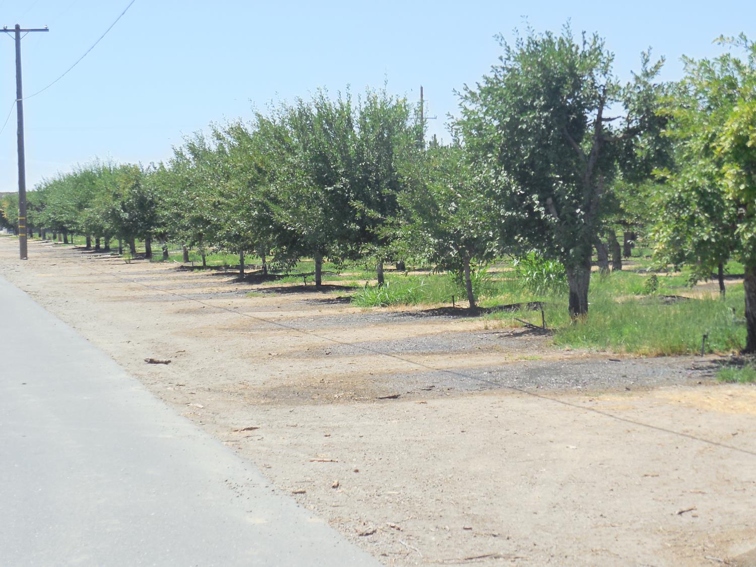 Encinal Road, Live Oak, California image 9