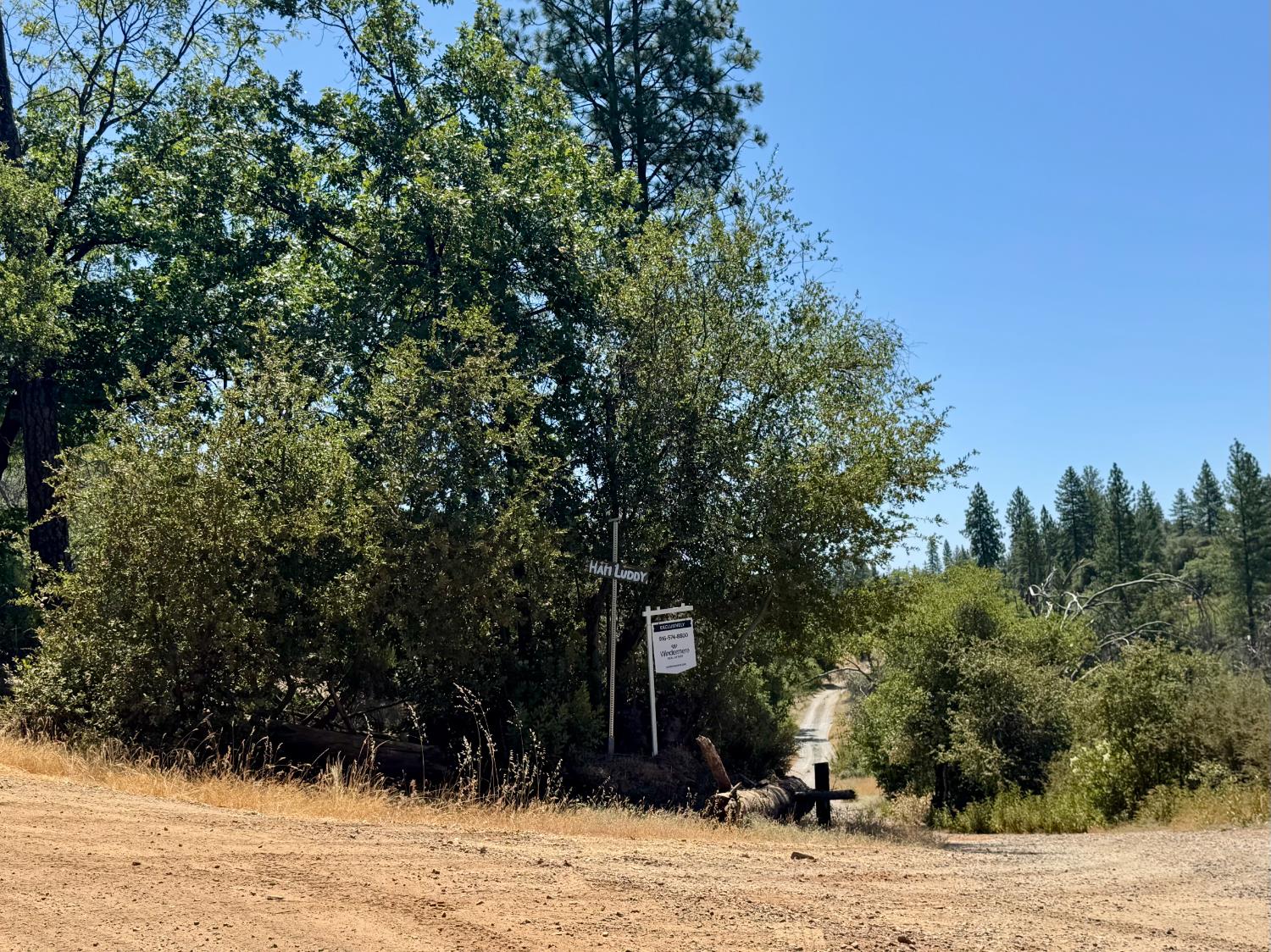 Rodesino Road, Mountain Ranch, California image 12
