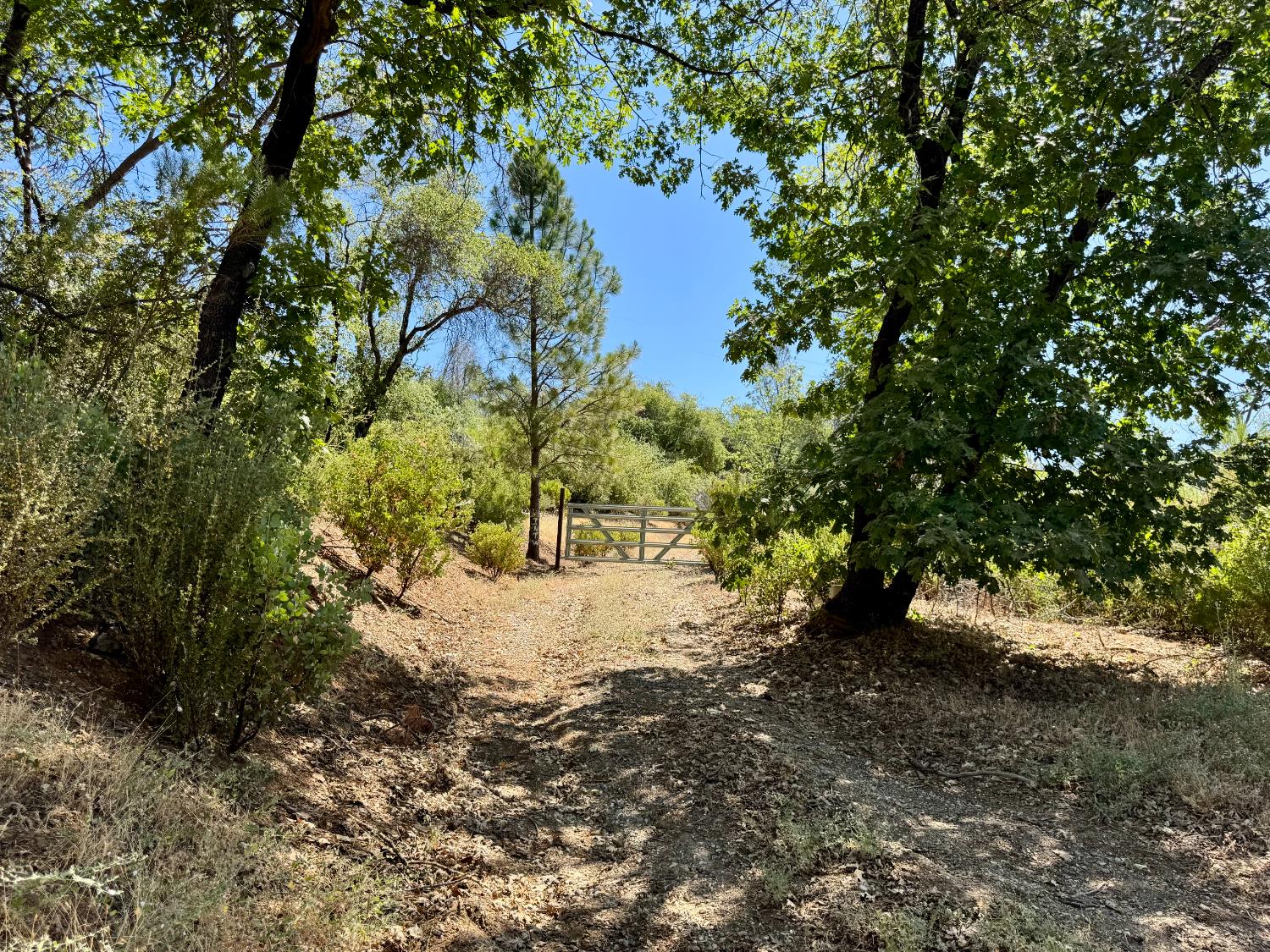 Rodesino Road, Mountain Ranch, California image 7