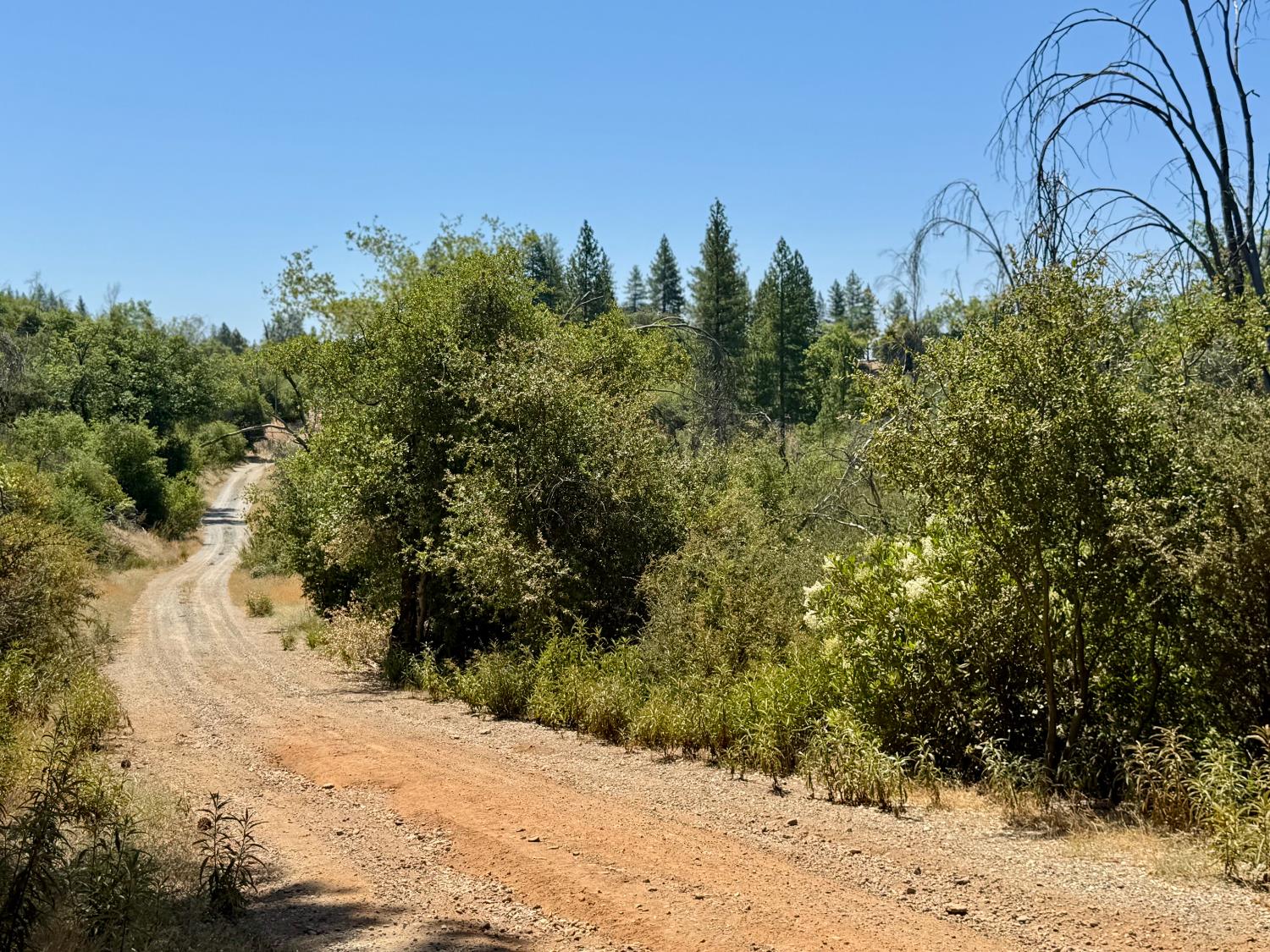 Rodesino Road, Mountain Ranch, California image 14