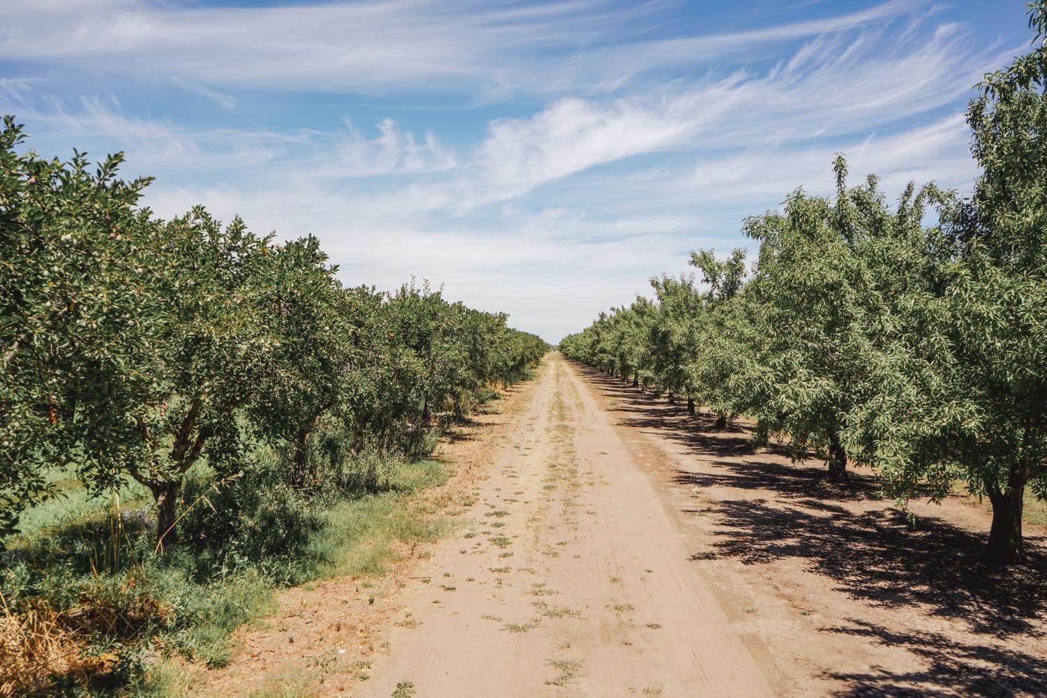 Ingram Lane, Live Oak, California image 7