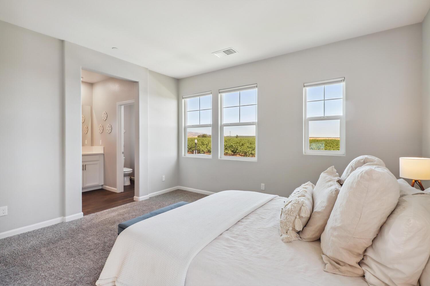 Detail Gallery Image 23 of 62 For 916 Moody Slough Rd, Winters,  CA 95694 - 3 Beds | 2/1 Baths