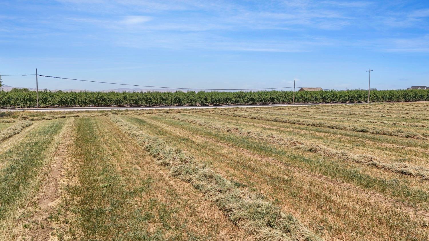 Detail Gallery Image 10 of 12 For 0 Ne Hunt & Taglio Rd, Gustine,  CA 95322 - – Beds | – Baths