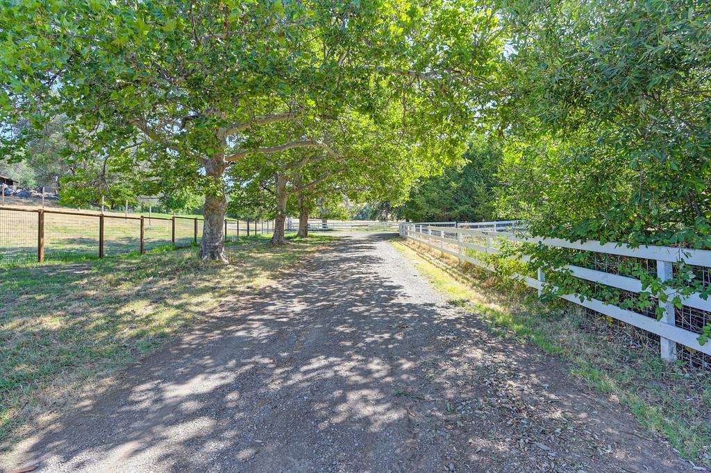 Detail Gallery Image 1 of 93 For 1200 Gold Hill Rd, Newcastle,  CA 95658 - – Beds | – Baths