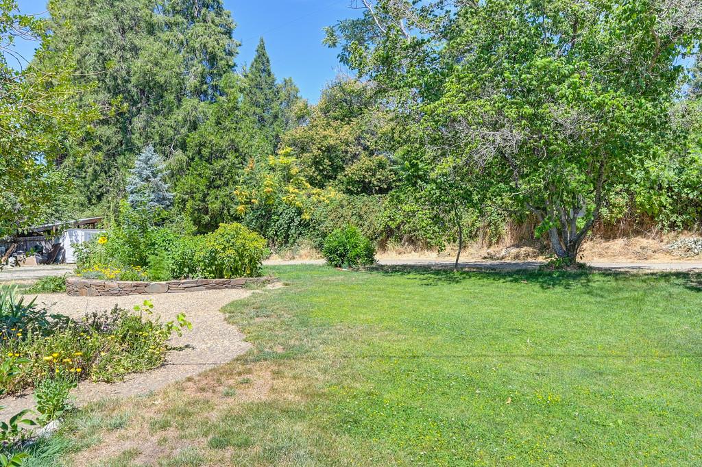 Detail Gallery Image 51 of 89 For 29336 State Highway 49, North San Juan,  CA 95960 - – Beds | – Baths
