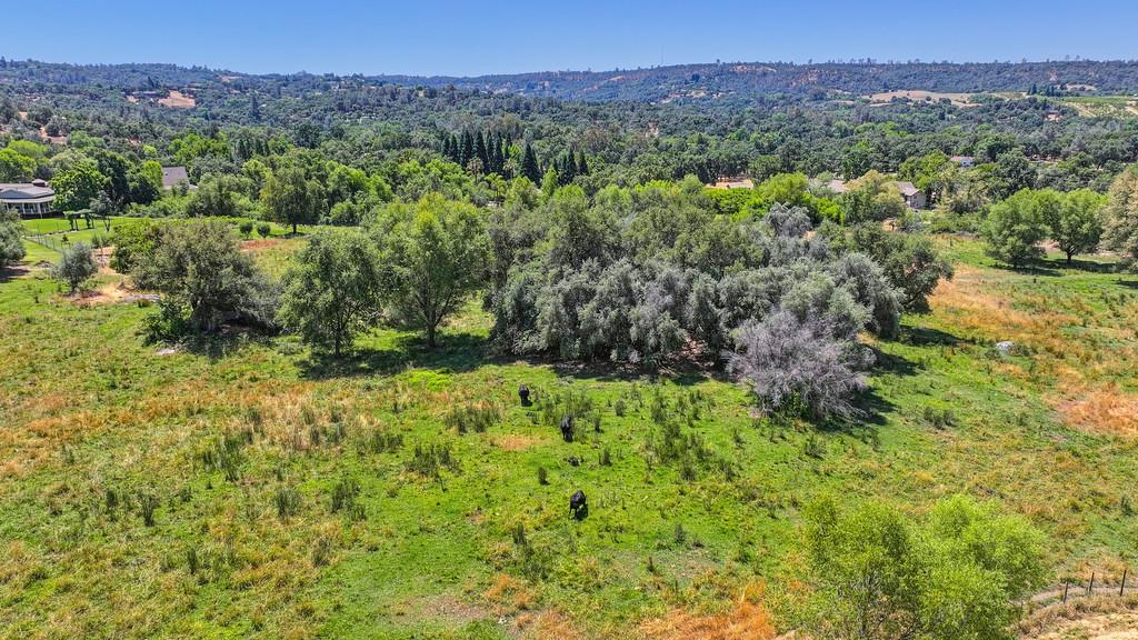 Detail Gallery Image 20 of 93 For 1200 Gold Hill Rd, Newcastle,  CA 95658 - – Beds | – Baths