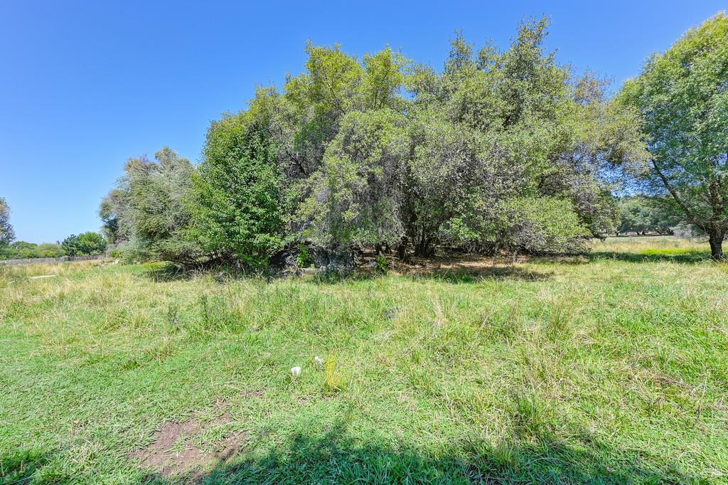 Detail Gallery Image 74 of 93 For 1200 Gold Hill Rd, Newcastle,  CA 95658 - – Beds | – Baths