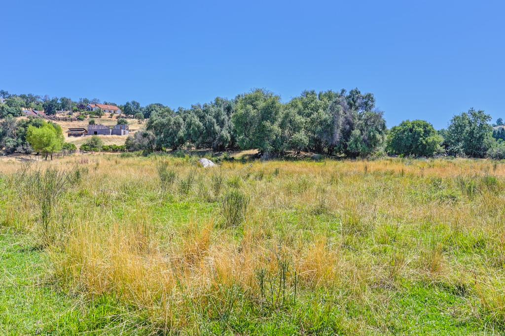 Detail Gallery Image 68 of 93 For 1200 Gold Hill Rd, Newcastle,  CA 95658 - – Beds | – Baths
