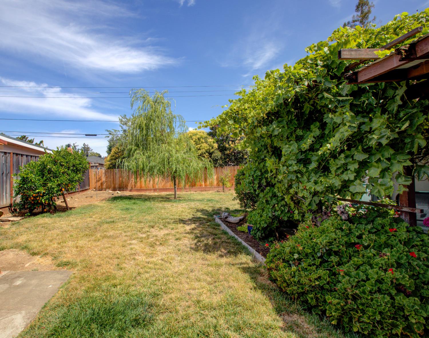 Detail Gallery Image 31 of 41 For 701 W 6th St, Gilroy,  CA 95020 - 3 Beds | 2 Baths