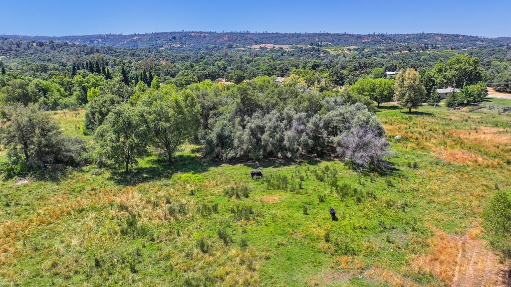 Detail Gallery Image 87 of 93 For 1200 Gold Hill Rd, Newcastle,  CA 95658 - – Beds | – Baths