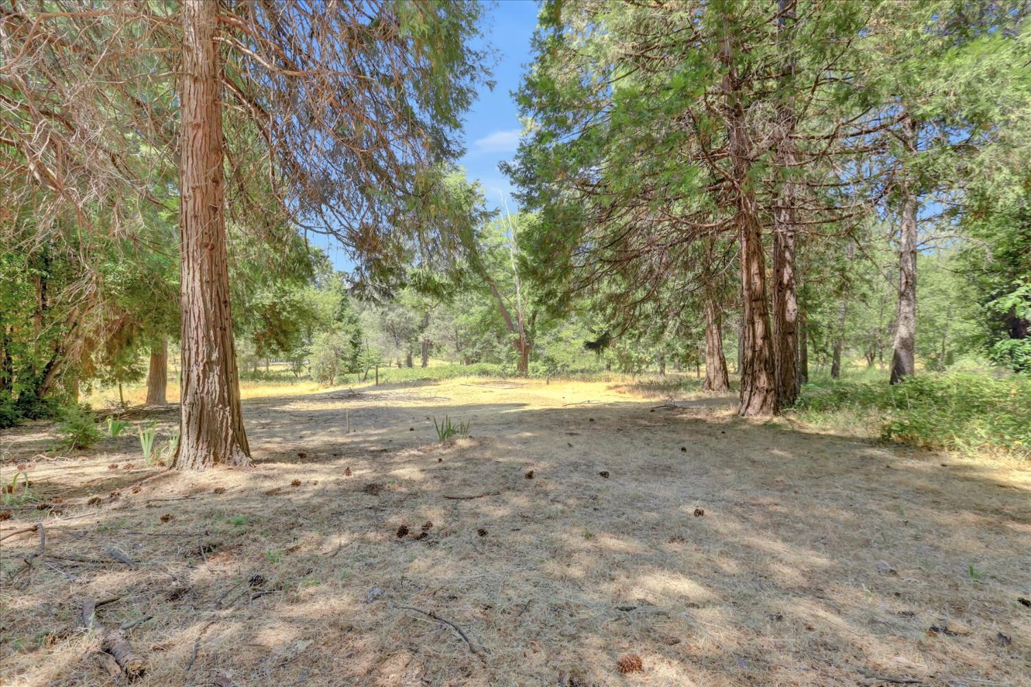 Detail Gallery Image 3 of 73 For 10973 Rough and Ready Hwy, Grass Valley,  CA 95945 - – Beds | – Baths