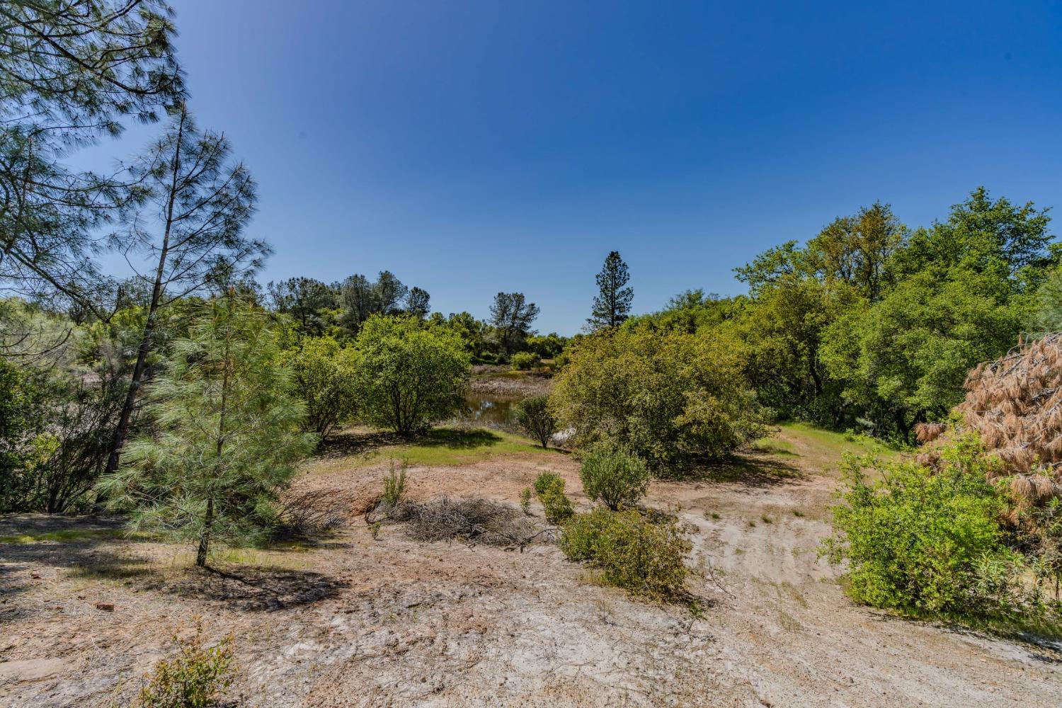 Detail Gallery Image 51 of 64 For 5650 Red Valley Rd, Ione,  CA 95640 - – Beds | – Baths