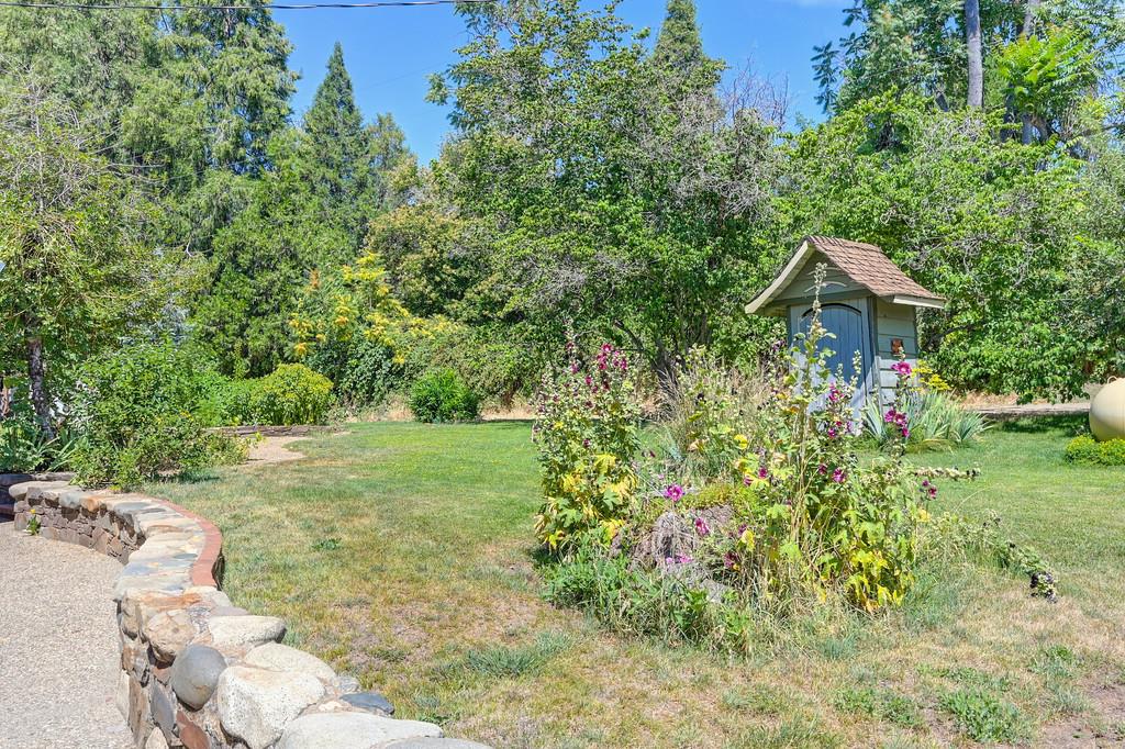 Detail Gallery Image 48 of 89 For 29336 State Highway 49, North San Juan,  CA 95960 - – Beds | – Baths