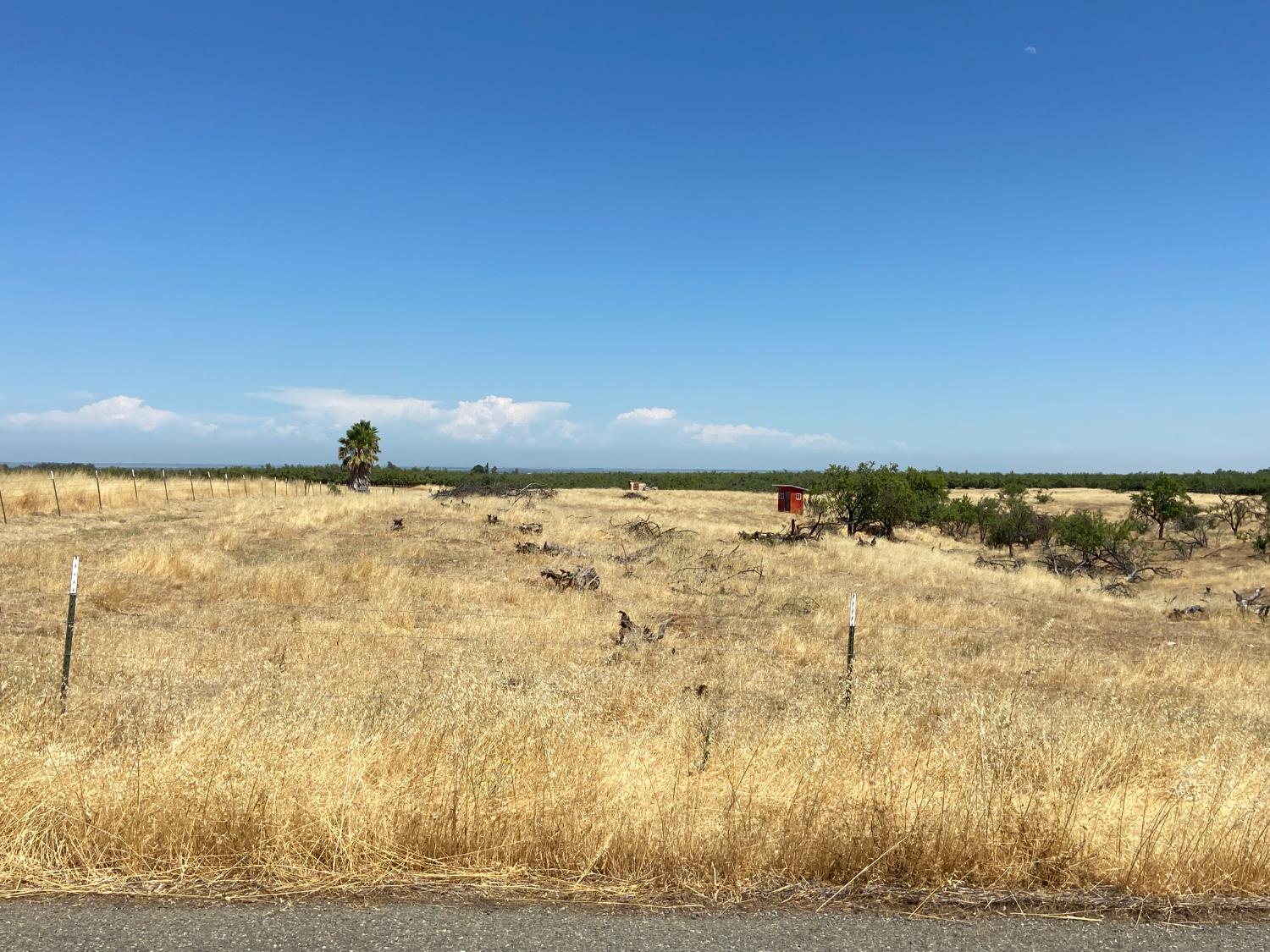 Detail Gallery Image 19 of 27 For 0 Wyer Rd, Arbuckle,  CA 95912 - – Beds | – Baths