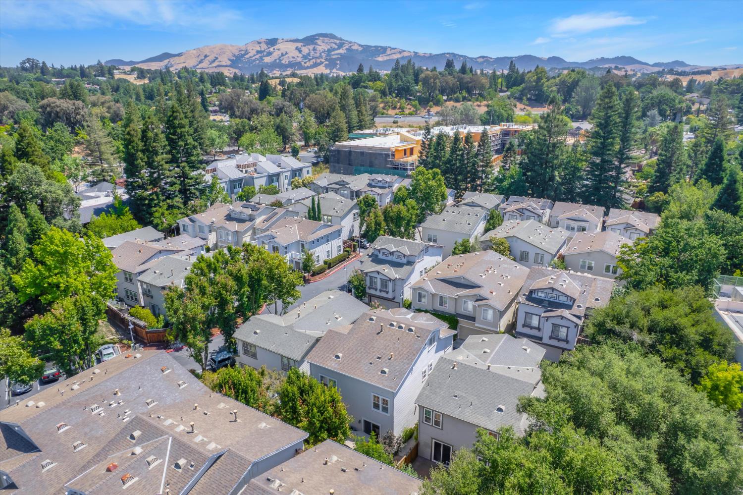 Detail Gallery Image 38 of 44 For 222 Matteson Ct, Danville,  CA 94526 - 4 Beds | 3/1 Baths