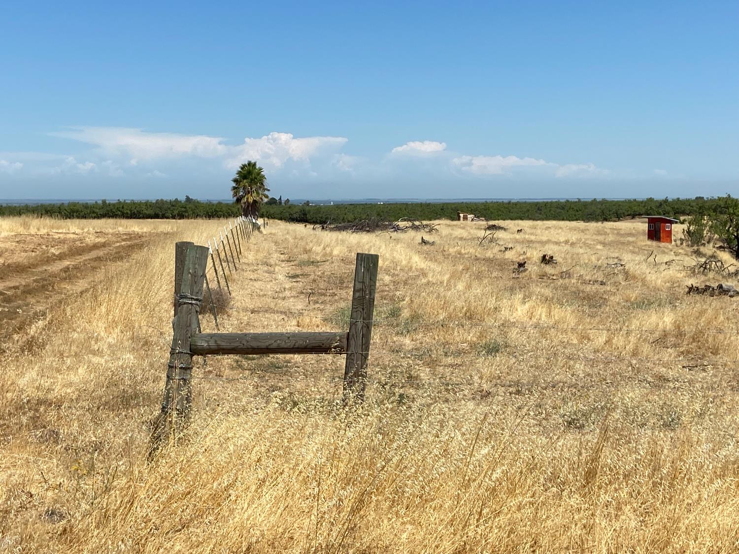 Detail Gallery Image 26 of 27 For 0 Wyer Rd, Arbuckle,  CA 95912 - – Beds | – Baths