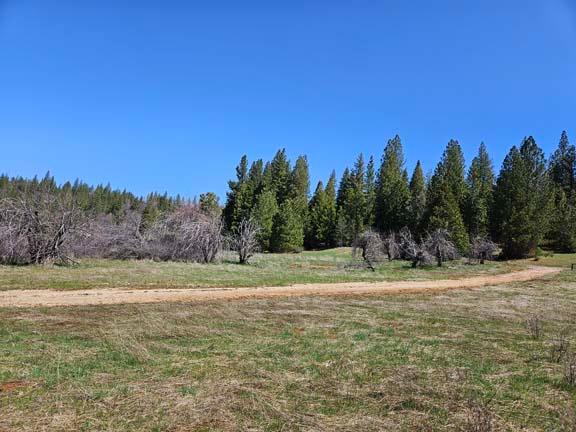 Detail Gallery Image 12 of 23 For 1234 Indian Diggins Rd, Somerset,  CA 95684 - – Beds | – Baths