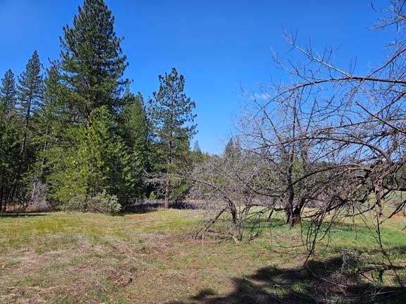 Detail Gallery Image 10 of 23 For 1234 Indian Diggins Rd, Somerset,  CA 95684 - – Beds | – Baths