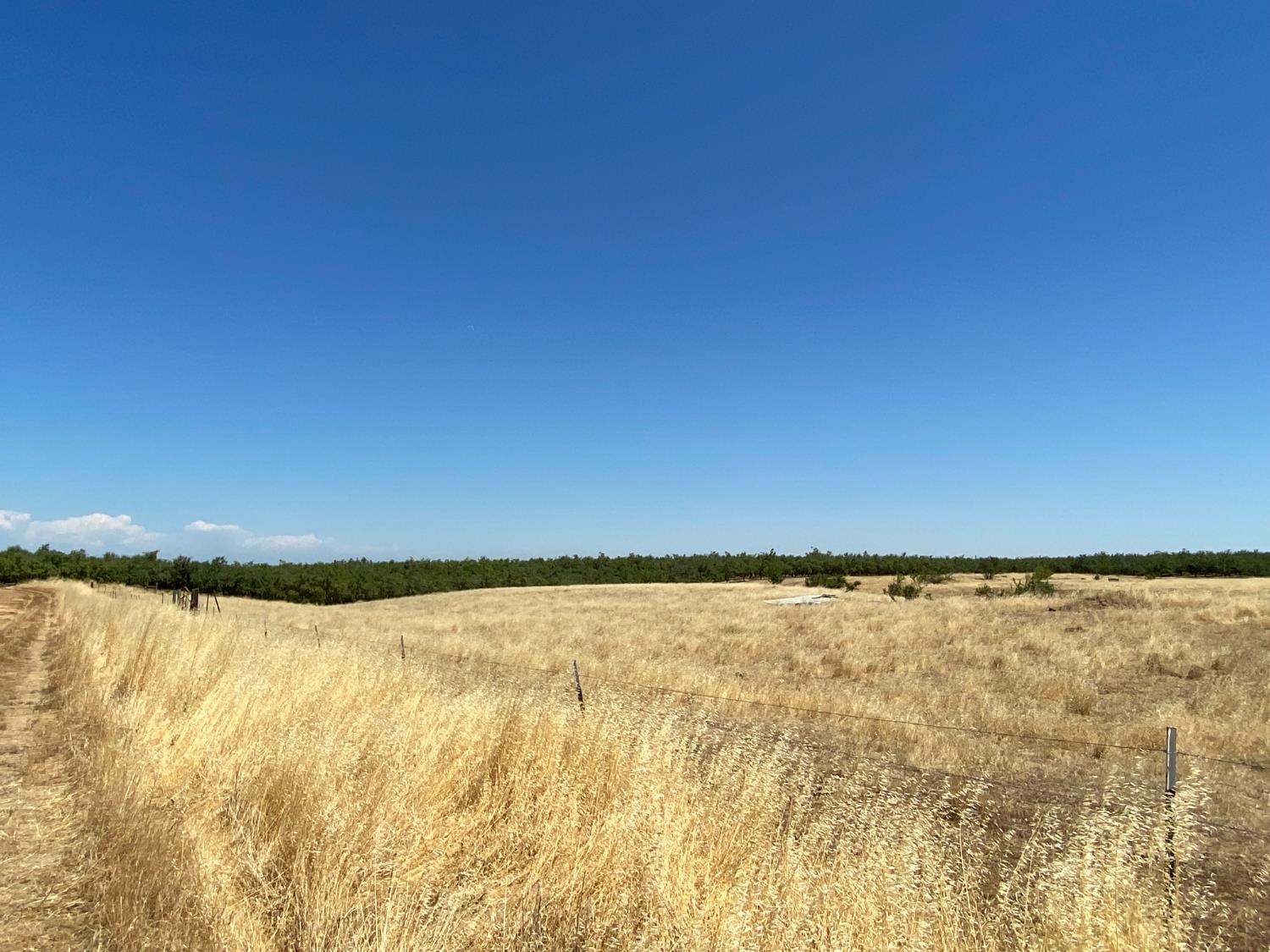 Detail Gallery Image 24 of 27 For 0 Wyer Rd, Arbuckle,  CA 95912 - – Beds | – Baths