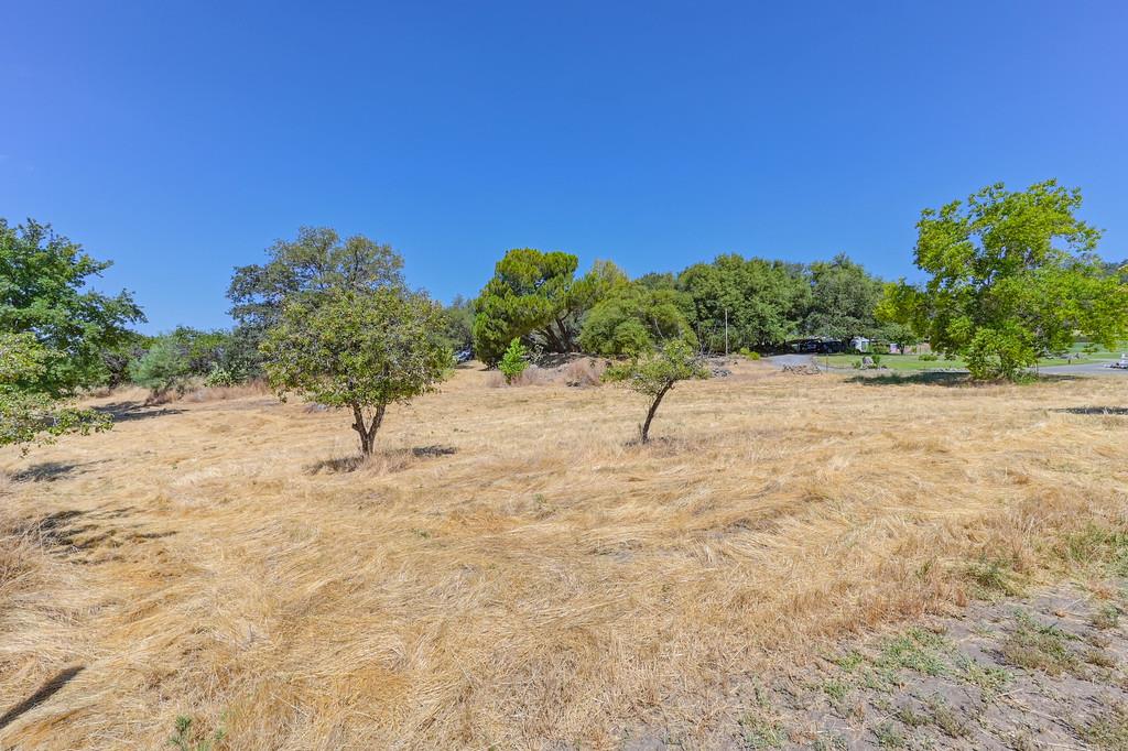 Detail Gallery Image 13 of 46 For 10880 Engle Lane, Auburn,  CA 95603 - – Beds | – Baths