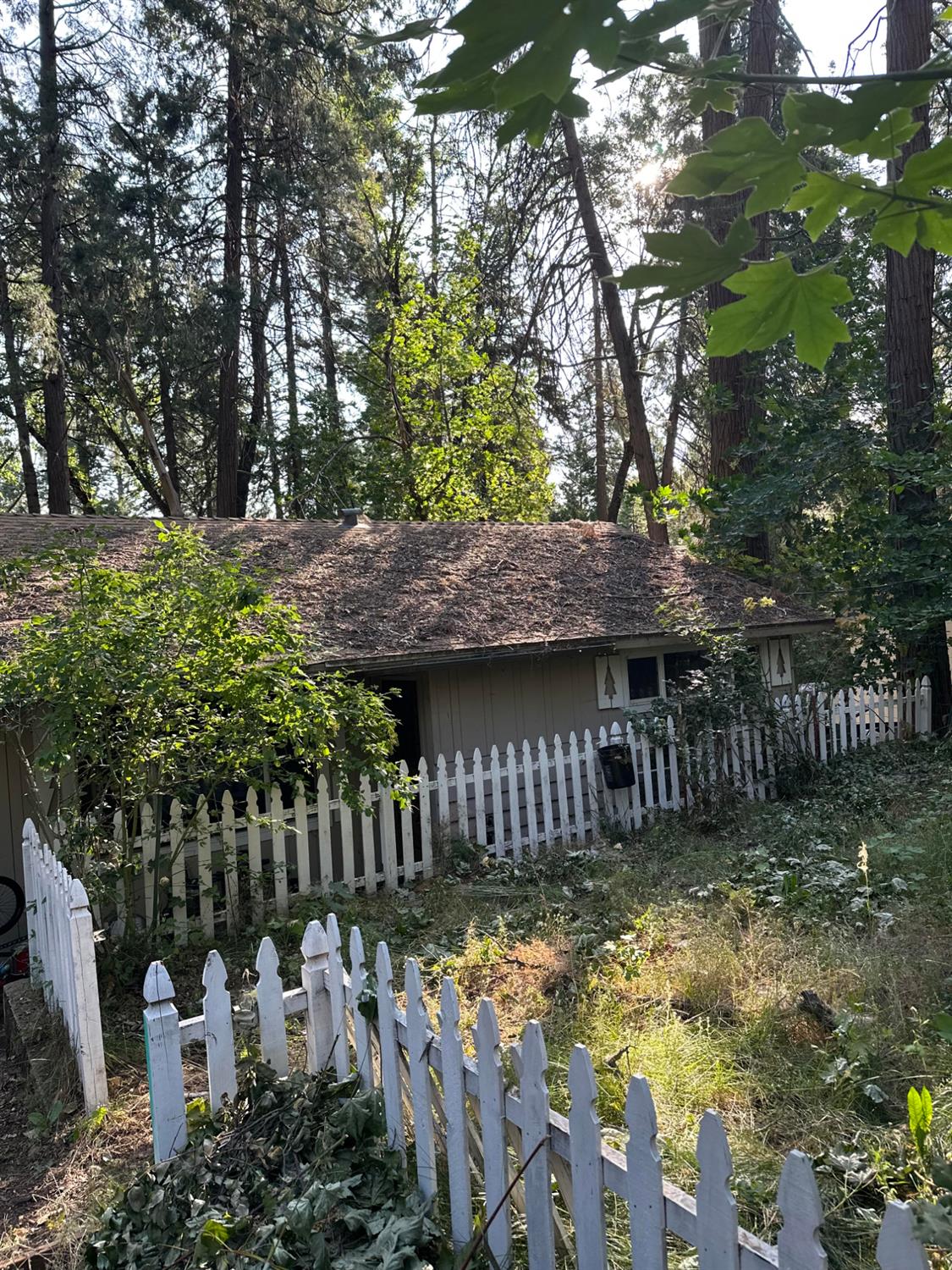 Detail Gallery Image 1 of 16 For 2786 Loyal Ln, Pollock Pines,  CA 95726 - 2 Beds | 1 Baths