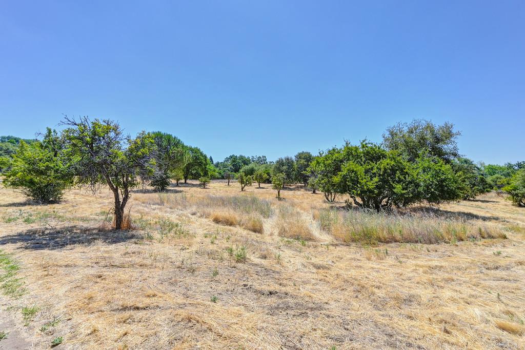 Detail Gallery Image 16 of 46 For 10880 Engle Lane, Auburn,  CA 95603 - – Beds | – Baths