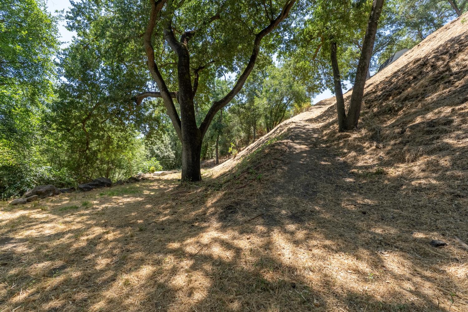 Detail Gallery Image 26 of 30 For 11812 Rodden Rd, Oakdale,  CA 95361 - 3 Beds | 2 Baths