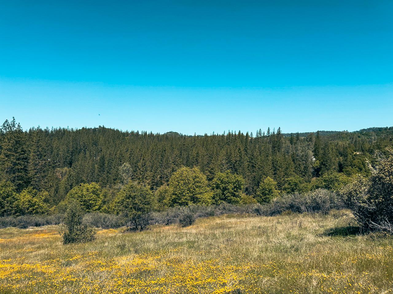 Detail Gallery Image 16 of 30 For 7300 Miller Ranch Rd, Mountain Ranch,  CA 95246 - – Beds | – Baths