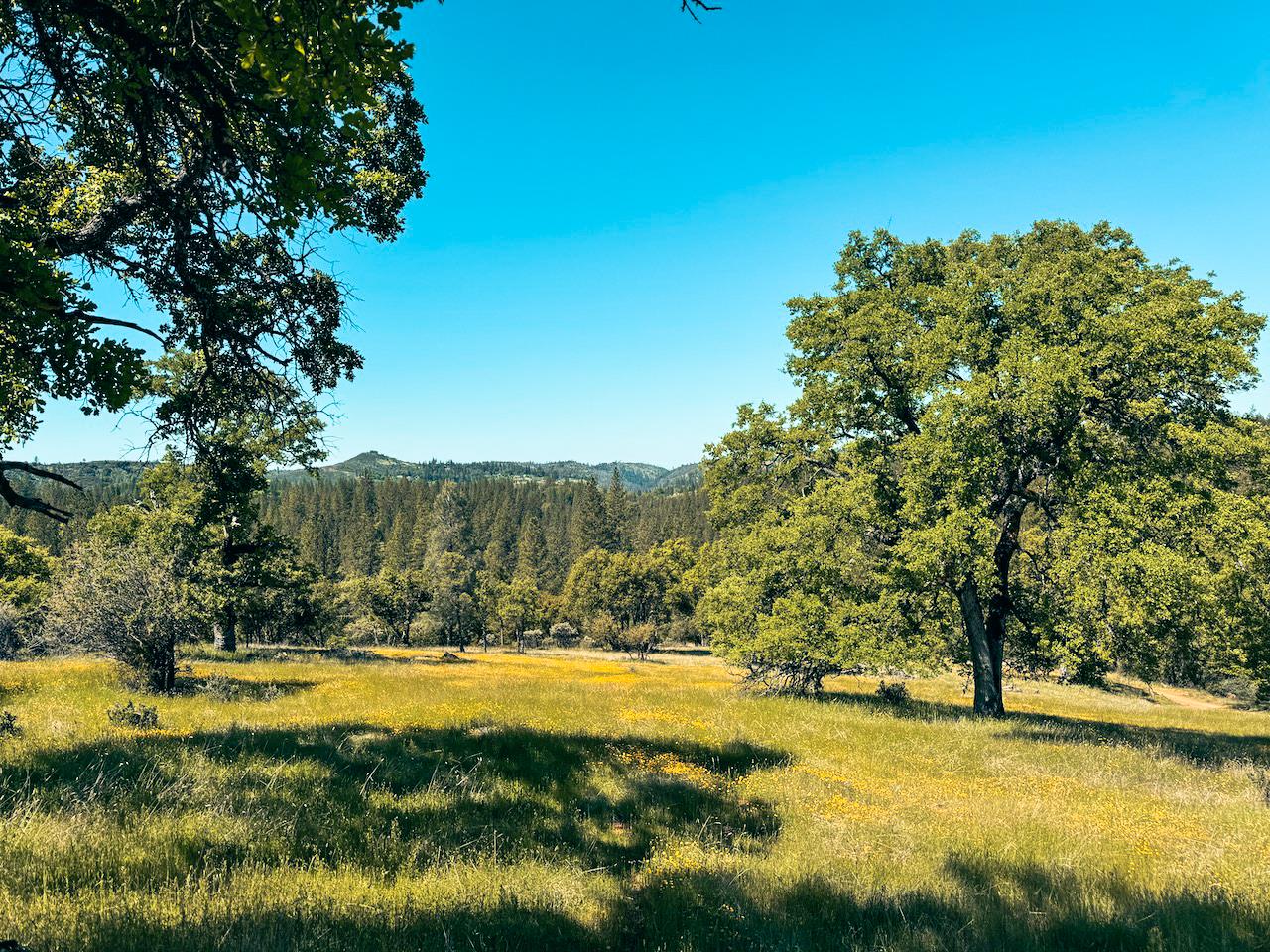Detail Gallery Image 8 of 30 For 7300 Miller Ranch Rd, Mountain Ranch,  CA 95246 - – Beds | – Baths