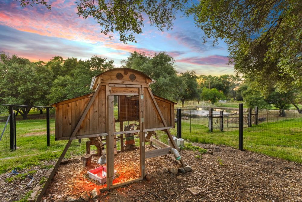 Detail Gallery Image 16 of 60 For 6260 Morgan Pl, Loomis,  CA 95650 - 5 Beds | 5/1 Baths