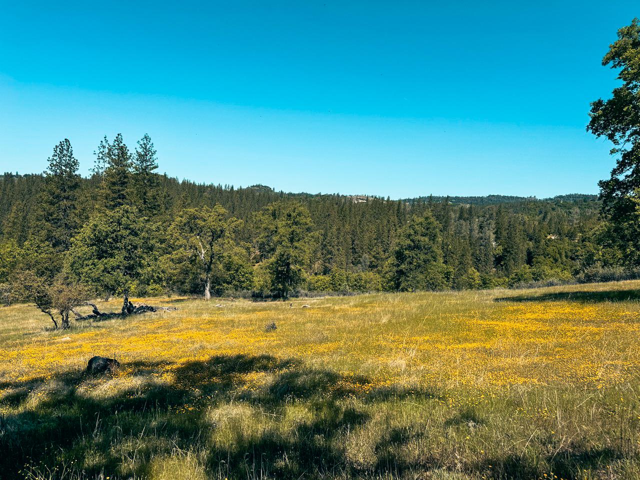 Detail Gallery Image 22 of 30 For 7300 Miller Ranch Rd, Mountain Ranch,  CA 95246 - – Beds | – Baths